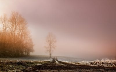 Late Winter Fatigue: When Energy Lags Behind the Season